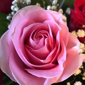 Meet your Posher, Yeimy